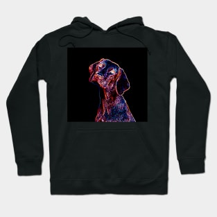 Dog Neon Styled Hoodie